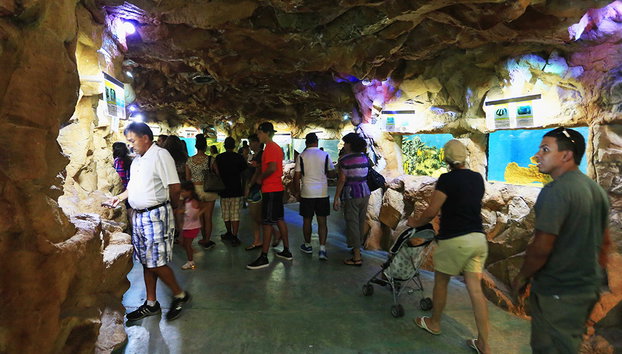 Descubre Mazatlán - Foto 4