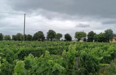 Maisonnette de charme entre plages et estuaire - Foto 18