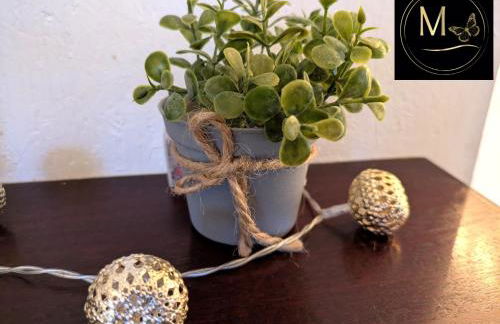 Kleine Sonnenstrahl-Oase - Photo 58