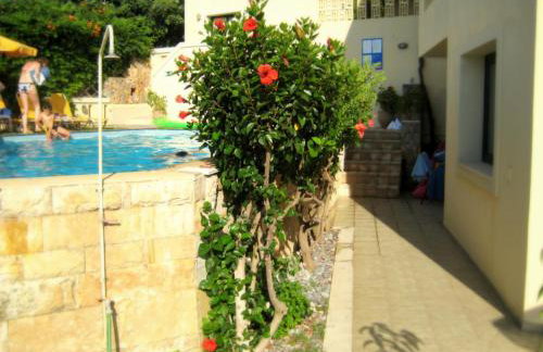 Villiana Holiday Apartments - Foto 133