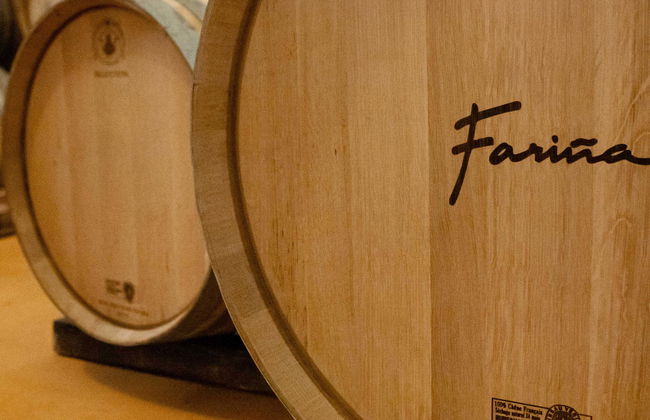 Visita a las bodegas Fariña - Foto 1