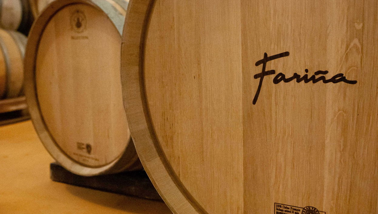 Visita às adegas Fariña