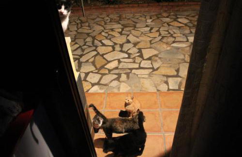 Casa Rural Atalaya House - Foto 58