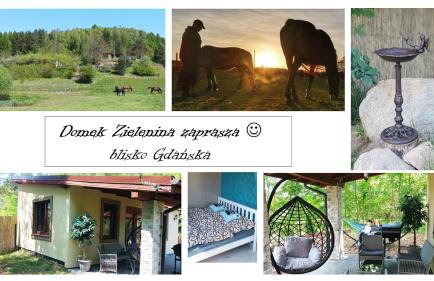 Domek Zielenina - Foto 1