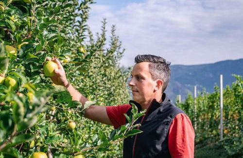 Lafoi - Apartments in Eppan - Photo 19