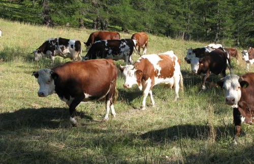 Agriturismo Barba Gust - Foto 56