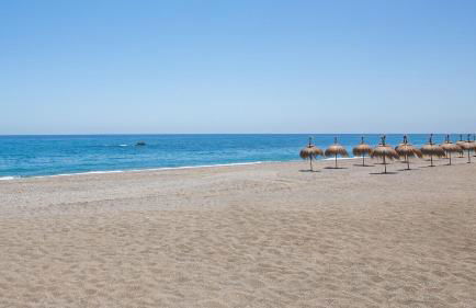 Terrazas de los Hidalgos B33A - Photo 42