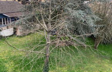 Großes Apartment Aschaffenburg 4 Schlafzimmer bis zu 10 Personen Mainpark Apartment Mainaschaff - Foto 49