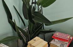 Charming Historic Cabbagetown Home an Atlanta Gem! Close to Atlanta Stadium FIFA! - Foto 15