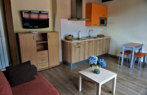 Apartamentos La Playina - Foto 16