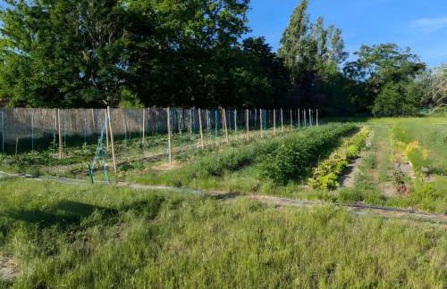 Ferme Pédagogique Bordeneuve - Foto 21