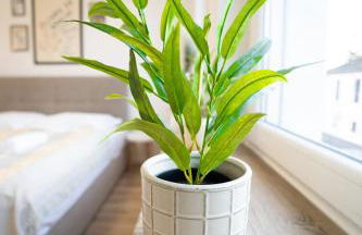 Charmante Wohnung am Drachenfels - Foto 58