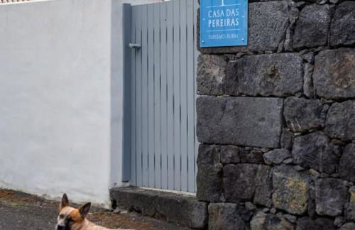 Casa das Pereiras Apartment - Photo 13