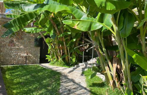 Filoxenia Olive Garden luxury villas and suites - Foto 16