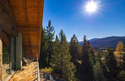 Villa Stella Verde - Wellness Villa with a swimming pool, hot tub and sauna - Foto 15