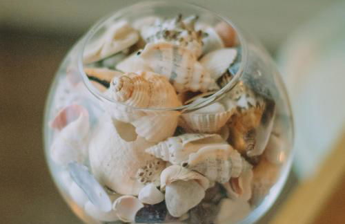 The Black Isle Apartment - Foto 23