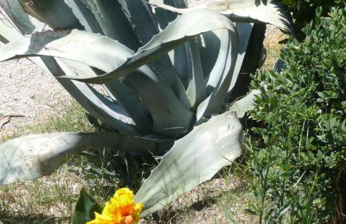 Agriturismo Annibale - Foto 54