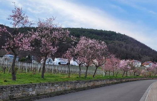 Ferienwohnung Freiraum - Foto 14