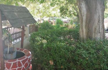 Βίλα Κατερίνα - Villa Katerina - Foto 11