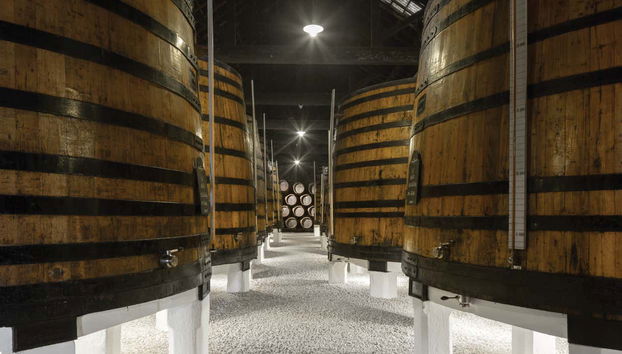 Visita a la bodega Graham's - Photo 3