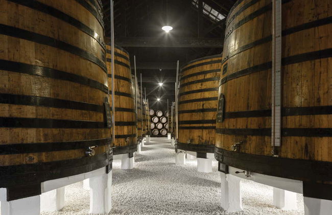 Visita a la bodega Graham's - Foto 3