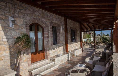 Garden Cactus - Foto 33