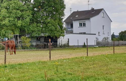 Haus im Grünen - Foto 37