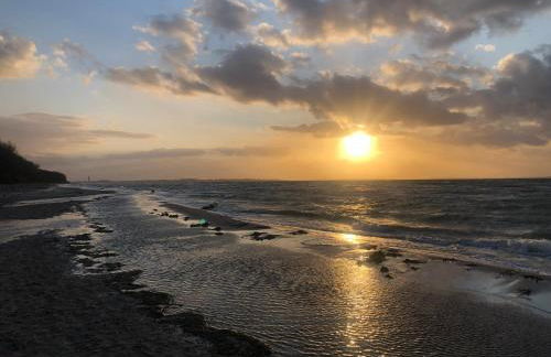 Reethus Linda - Foto 25