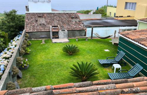 Flor da Natureza - Natureza - Photo 14