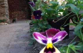 Los Balcones del Río - Foto 42