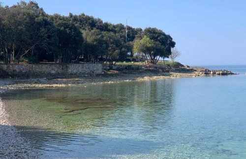 Bale Luxury House - Foto 24