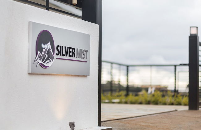 Silver Mist - Foto 33