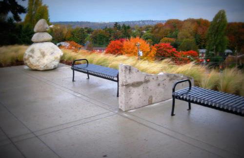 No Car Needed - N Beacon Hill Beauty - Foto 12