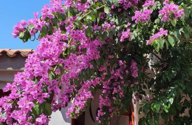 Apartments Kero NEW value 2023 fully AC - Foto 34