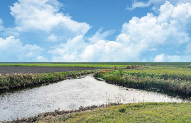House Near Scherpenisse Beach With Garden - Photo 36
