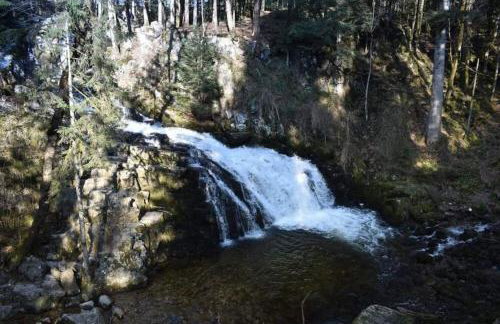 RELAX CHALET Nature Retreat - isolé sur 3 hectares - confort de LUXE - maison entière 150m2 - près de La Bresse - Foto 61