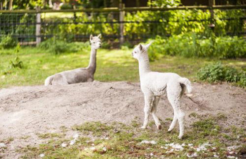 Gästehaus Bünner Hof - Foto 12