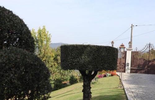 Sonho Verde - Foto 27