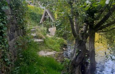 La Madeleine - Foto 7