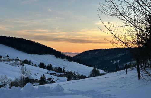 Berghof Almzeit - Fewo "Philosophenstüble", Sauna, Todtnauberg, Feldberg - Foto 26