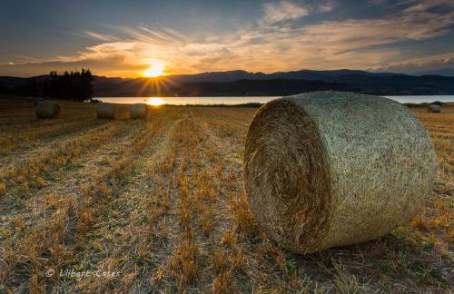 Lo passeig - Foto 64