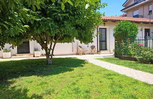 Serenity Garden - Foto 3