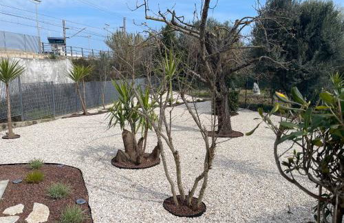 Raffaello's House - Aeroporto Falconara - Ancona - Foto 21