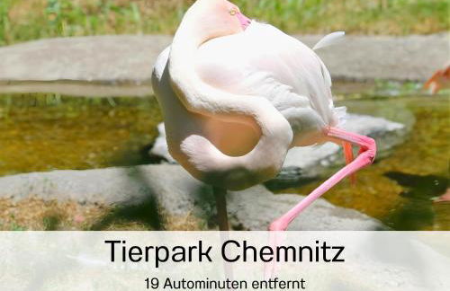 Ferienwohnungen Bernsdorfer Straße Chemnitz - zentrumsnah, teilweise mit Balkon oder Terrasse, große Parkanlage - ideal für Familien, Paare und Geschäftsleute - Foto 55