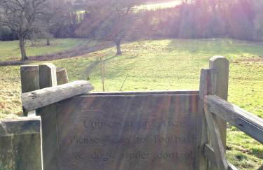 Snug at Combe Hay - Foto 14