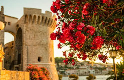 Loft in Ismaelli Palace Korcula - Photo 50