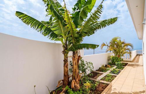 Quinta dos Louros - Foto 31