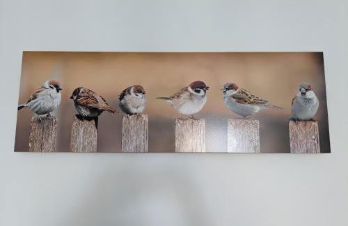 Les Jolis Nids - Studio Moineau - Foto 5