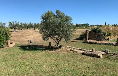 Resort Fonte Vulci - Foto 89