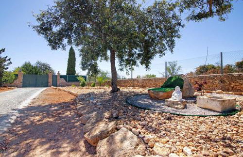 Monte do Pataco - Foto 38